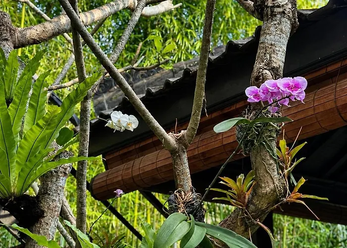 The Canggu デンパサール